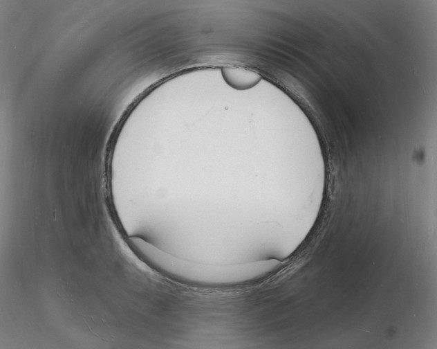 X0000116131087201001041006