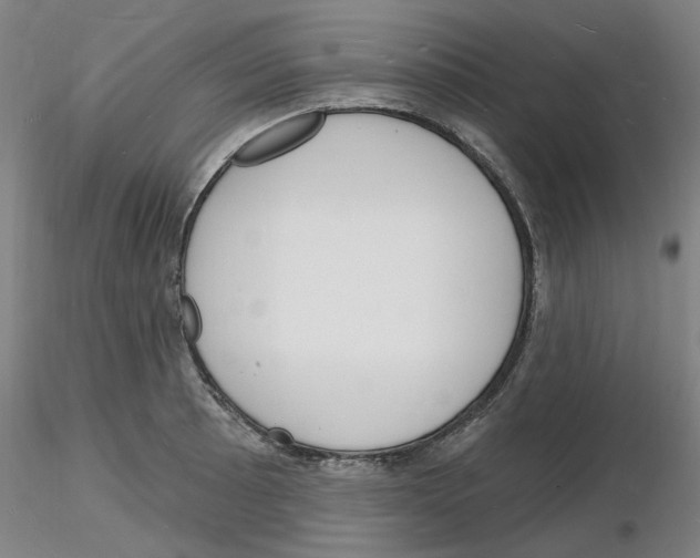 X0000116131089201001041006