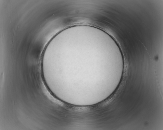 X0000116131090201001041006