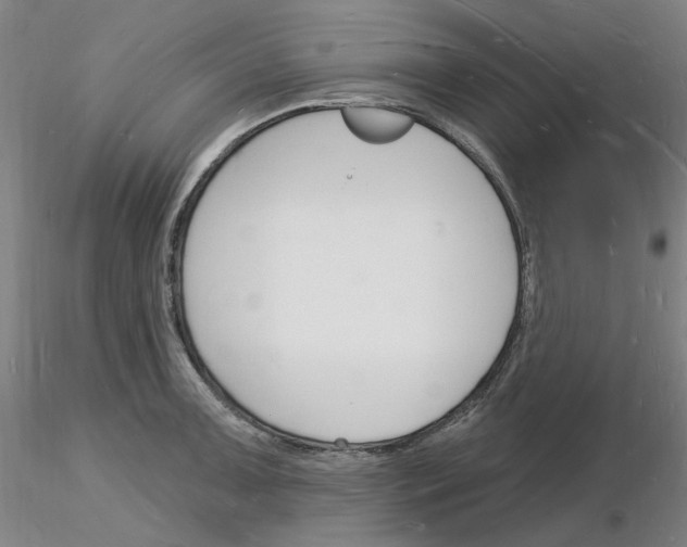X0000116131091201001041006