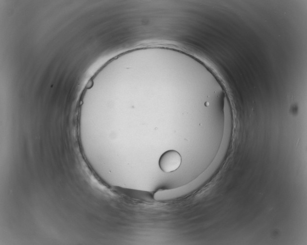 X0000116131102201001041006