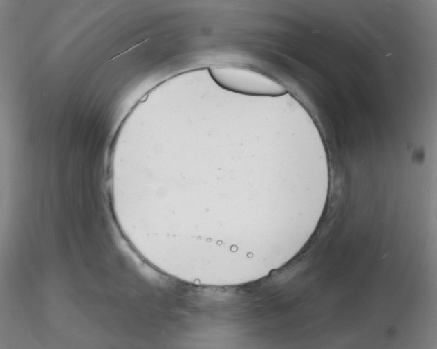 X0000116131103201001041006