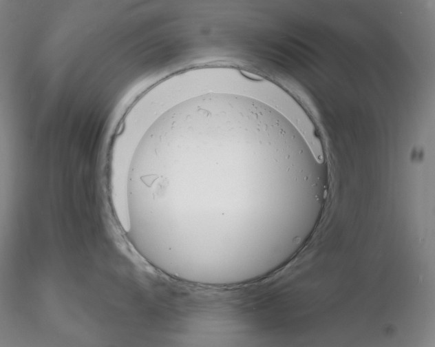 X0000116131104201001041006
