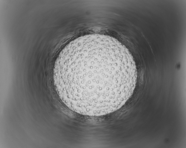 X0000116131105201001041005