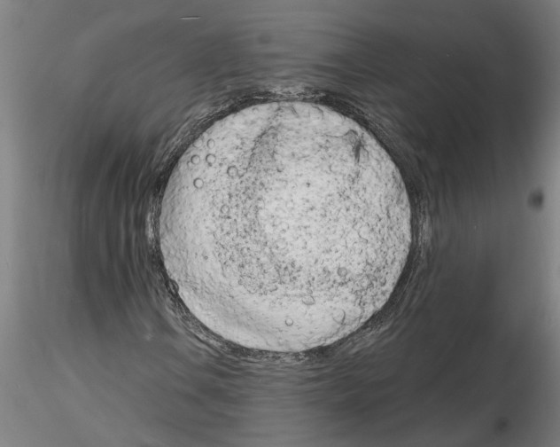 X0000116131106201001041005