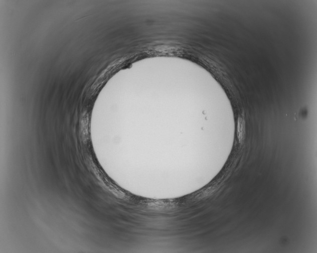 X0000116131107201001041005