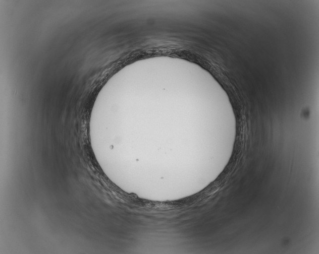 X0000116131109201001041005