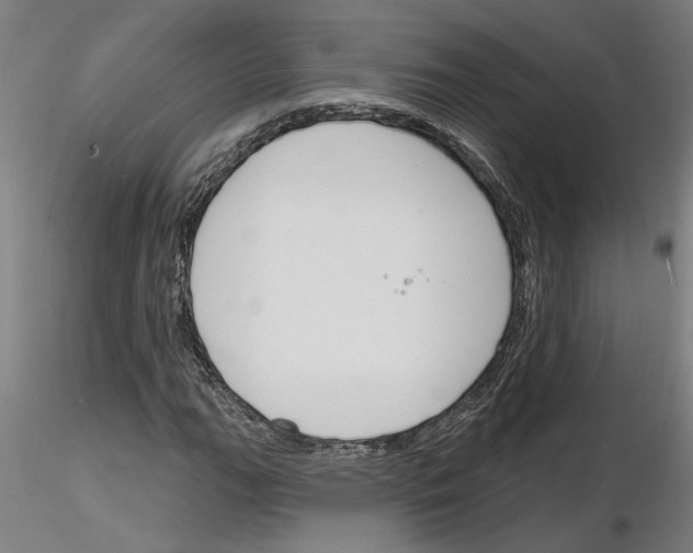 X0000116131111201001041005
