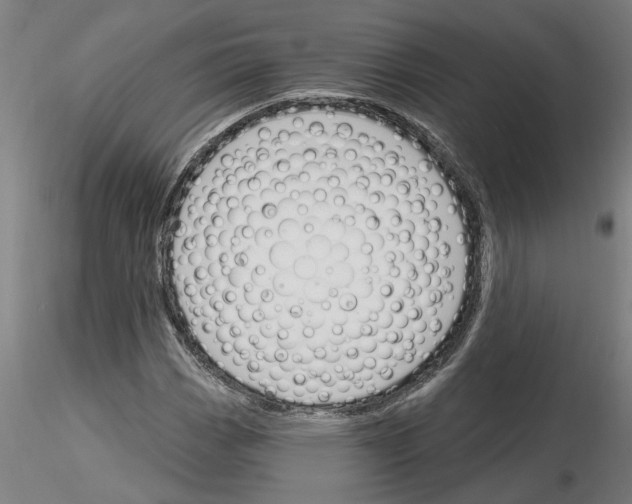 X0000116131113201001041006