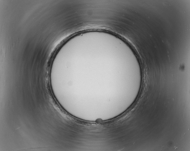 X0000116131119201001041006
