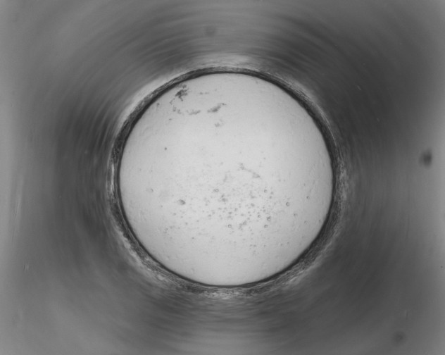 X0000116131125201001041006