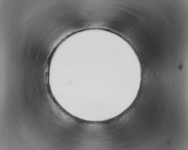 X0000116131126201001041006