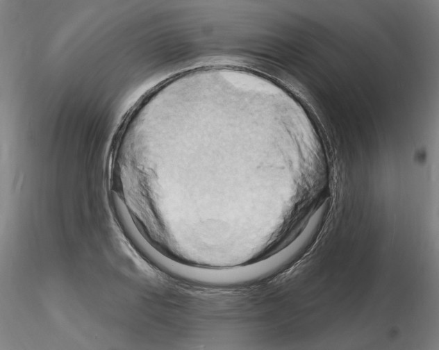 X0000116131127201001041006