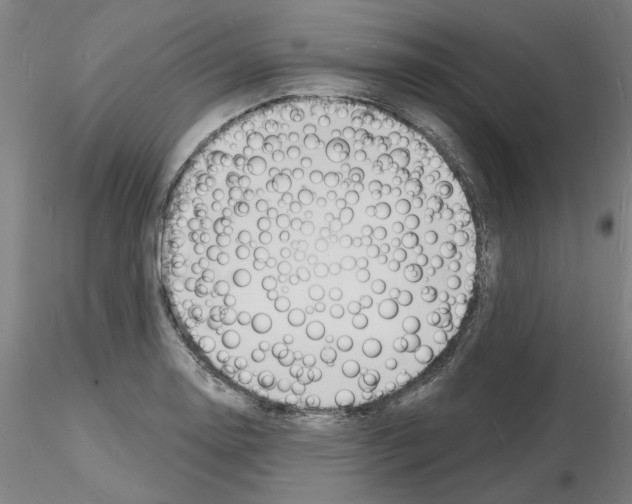 X0000116131130201001041006