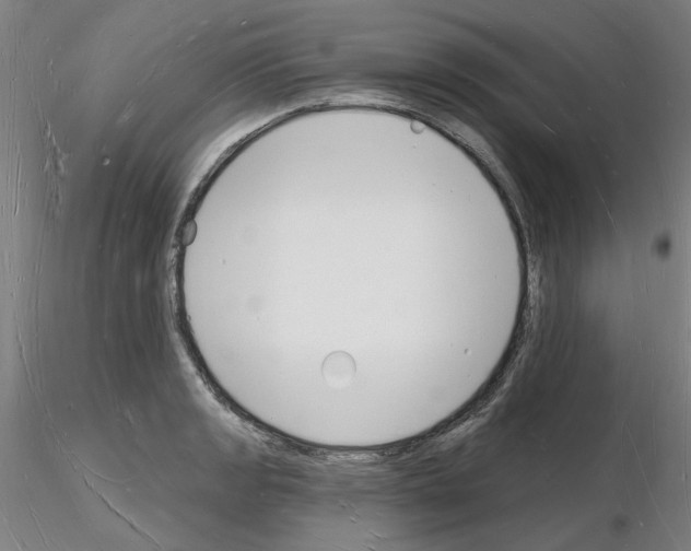 X0000116131133201001041006