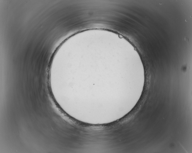 X0000116131134201001041006
