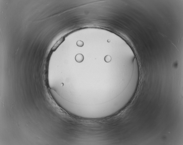 X0000116131138201001041006