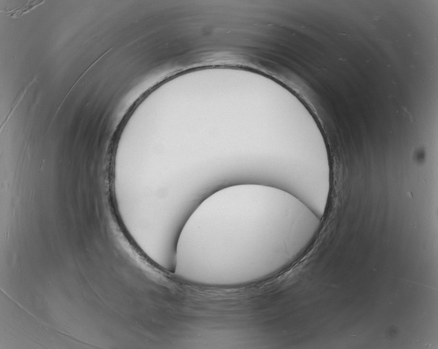 X0000116131142201001041006