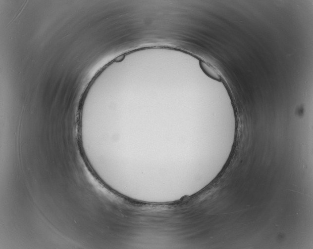 X0000116131143201001041006