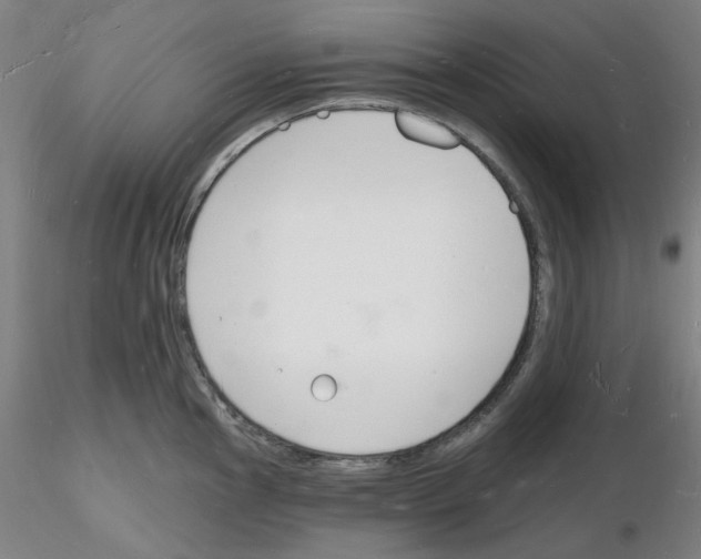 X0000116131145201001041006