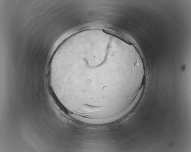 X0000116131146201001041006