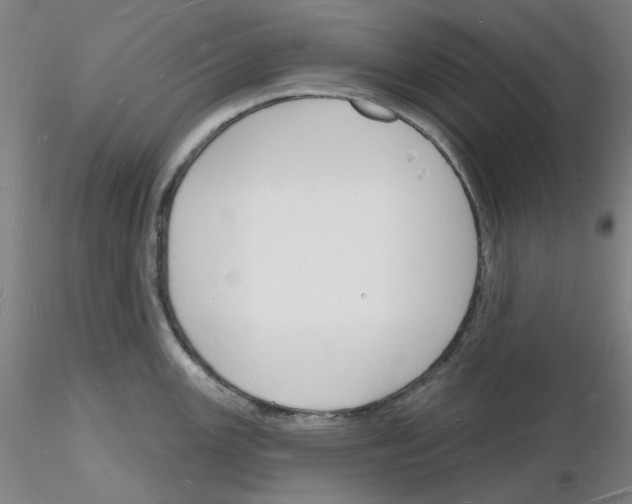 X0000116131147201001041006