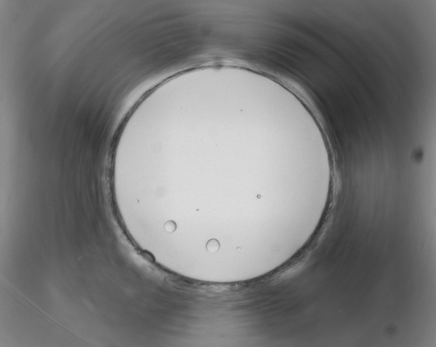 X0000116131149201001041006