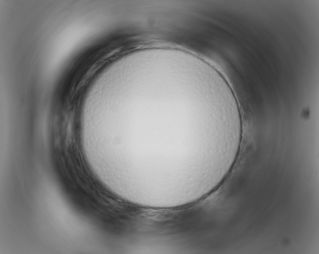 X0000116131150201001041006