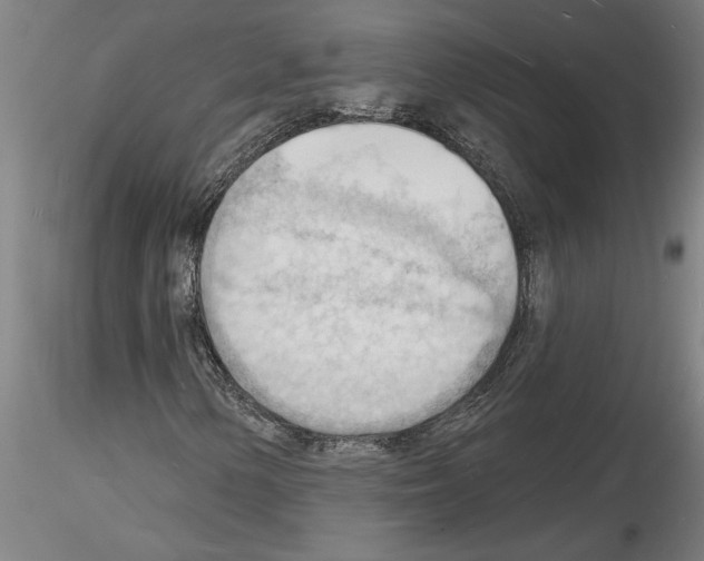 X0000116131154201001041005