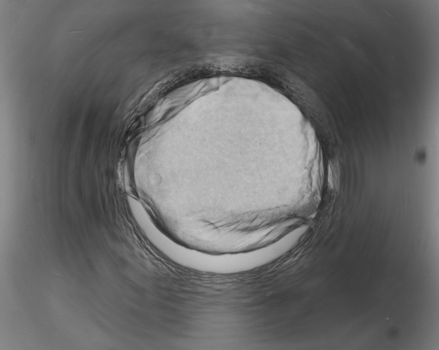 X0000116131155201001041005
