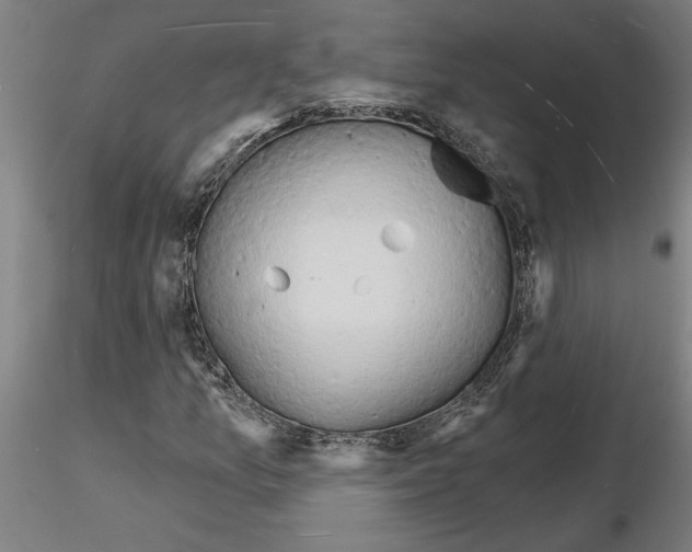 X0000116131157201001041005