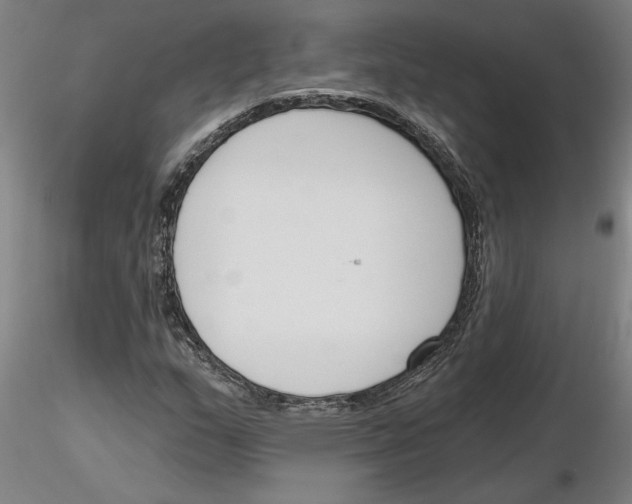 X0000116131159201001041005