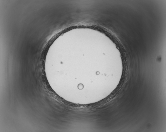 X0000116131160201001041005