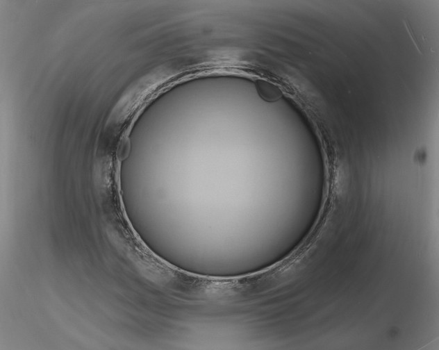 X0000116131161201001041005