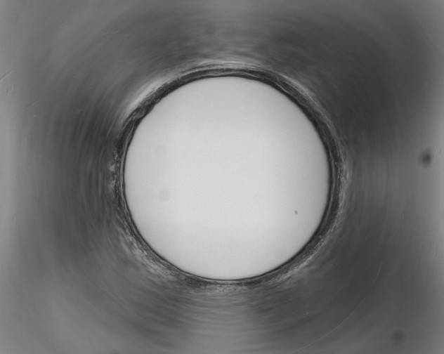 X0000116131163201001041005