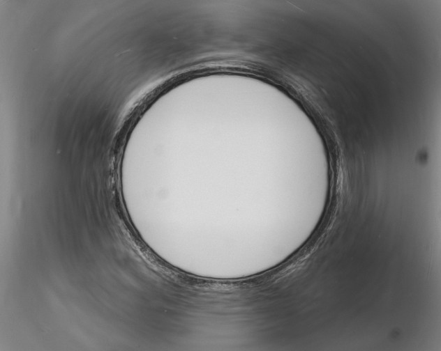 X0000116131164201001041005