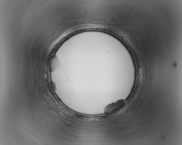 X0000116131165201001041005