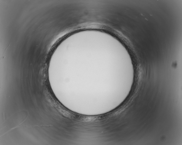 X0000116131166201001041005