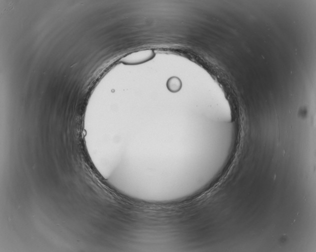 X0000116131169201001041005