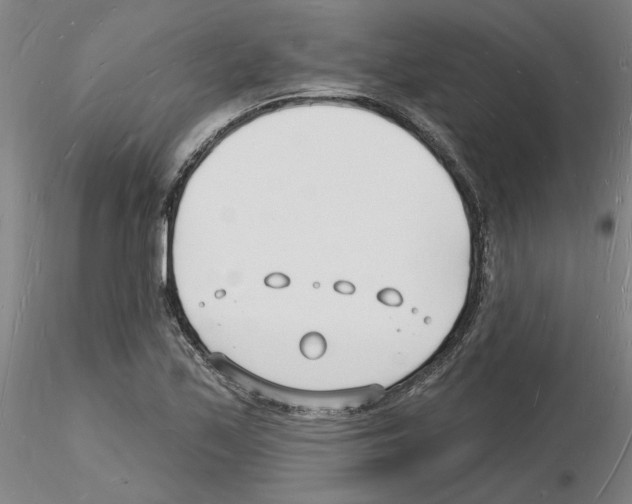 X0000116131171201001041005