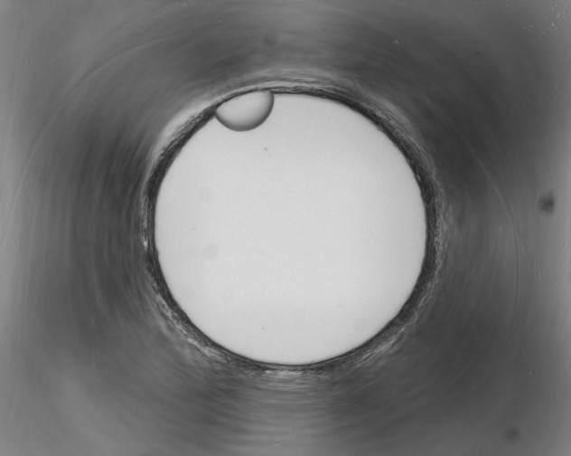 X0000116131172201001041005