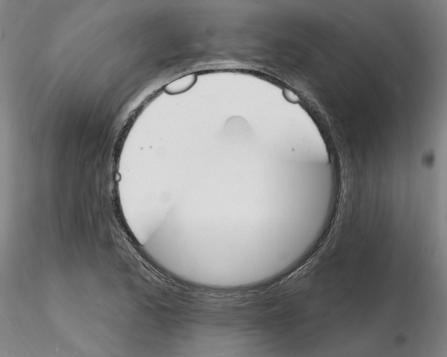 X0000116131173201001041005