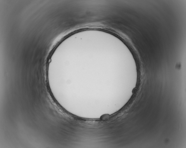 X0000116131176201001041005