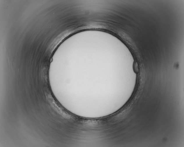 X0000116131177201001041005