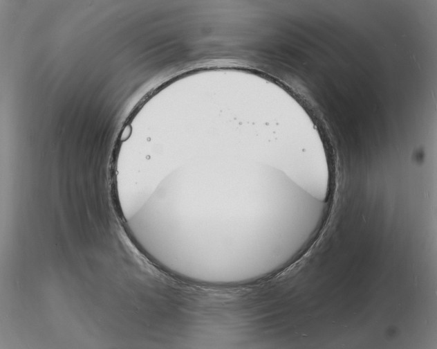 X0000116131181201001041005