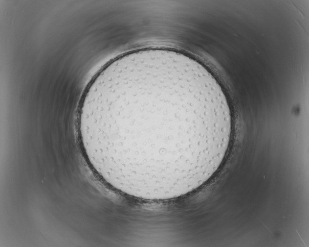 X0000116131182201001041005