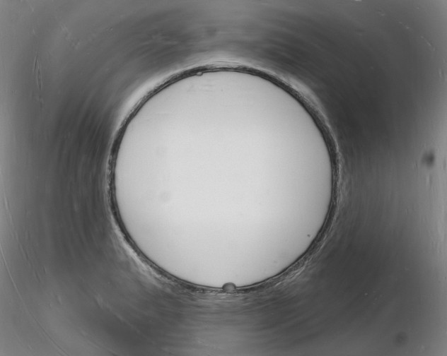 X0000116131183201001041005