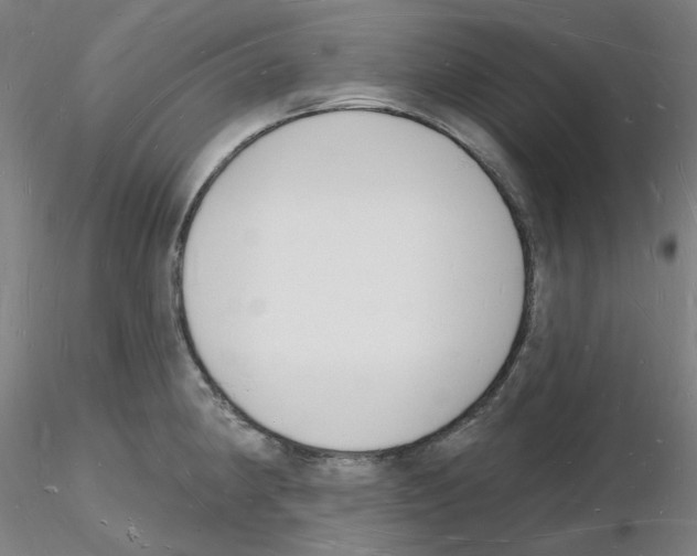 X0000116131190201001041005