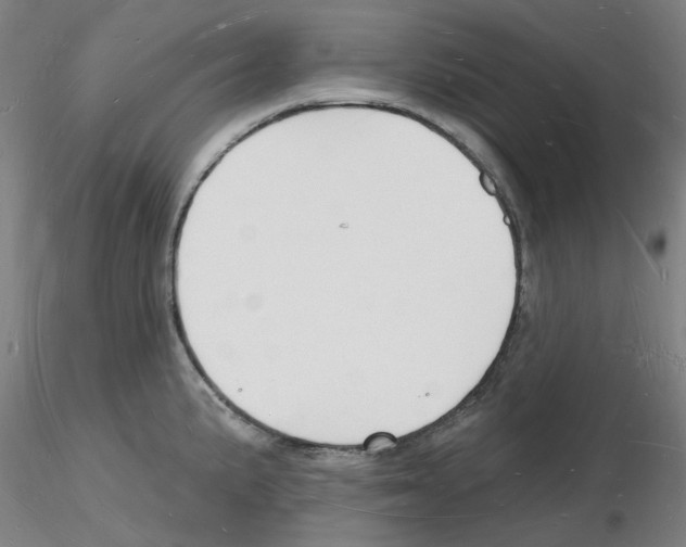 X0000116131191201001041005