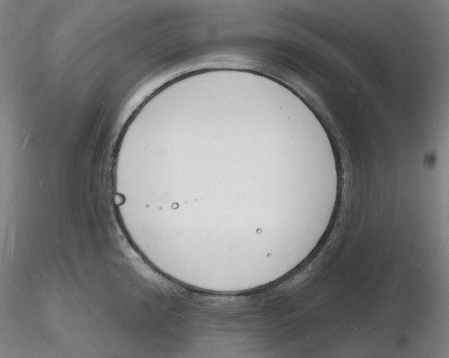 X0000116131192201001041005